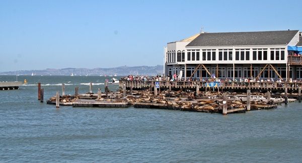 north beach san francisco