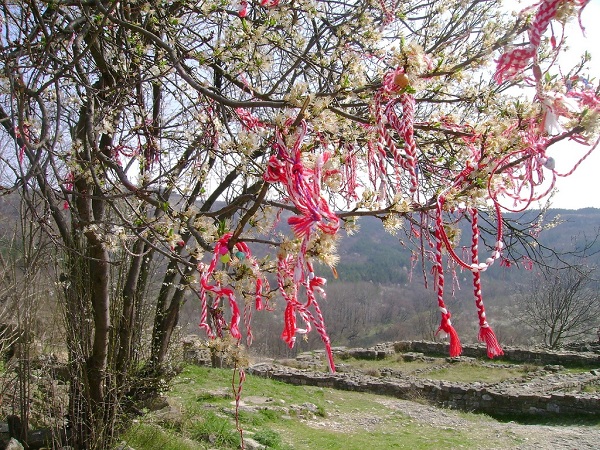 martenicatree