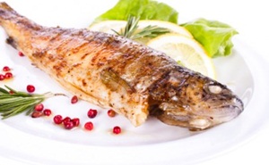 grilled trout 