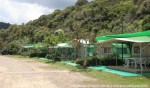 Armenistis camping, Sithonia