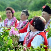 The Rose Festival