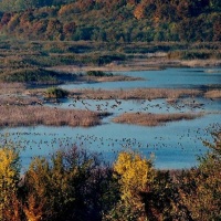 Srebarna Nature Reserve