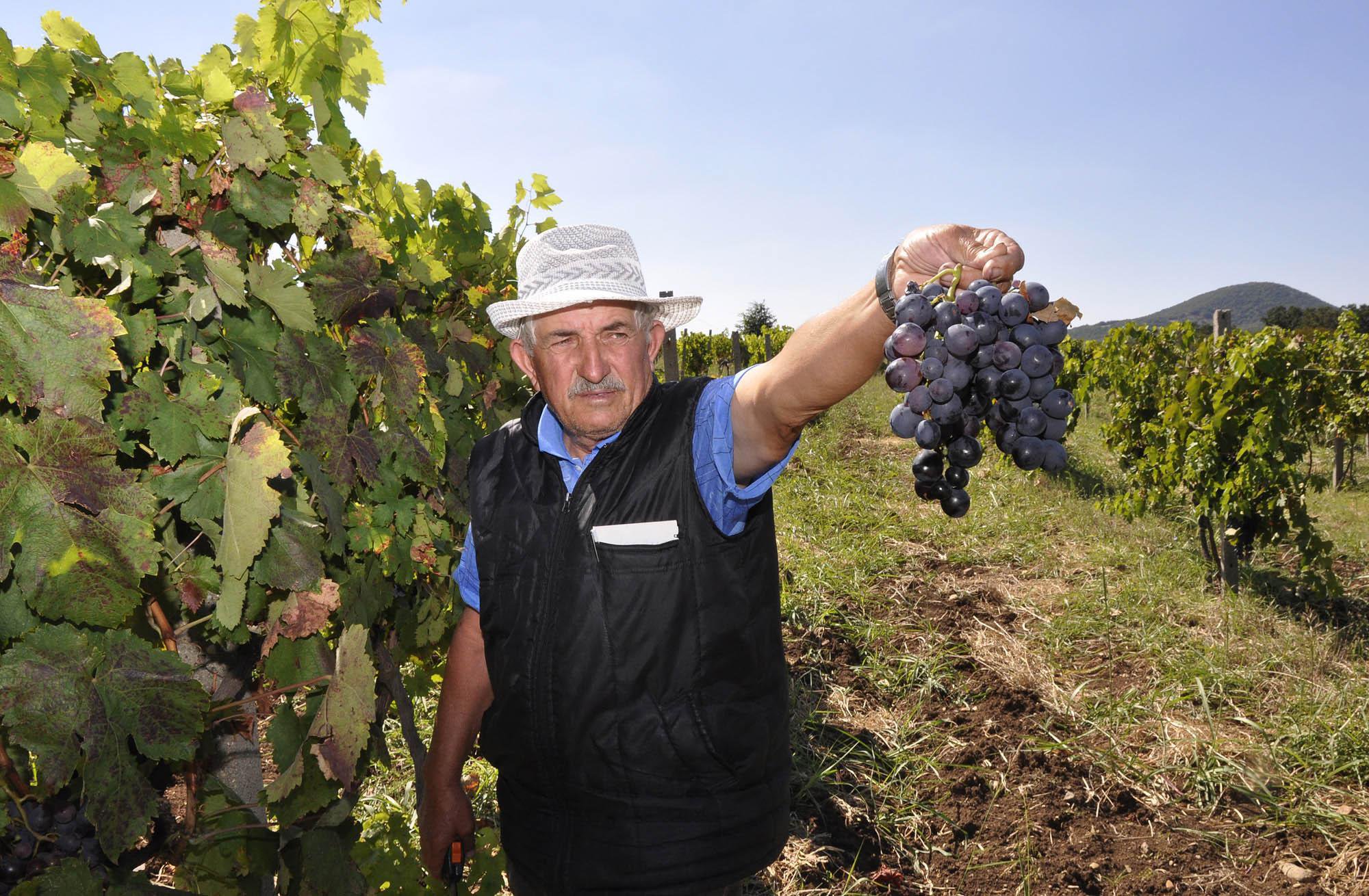 Bulgarian Wines and Wine TastingAdventure Flair