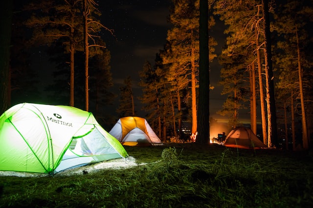 Can You Get Bed Bugs Camping